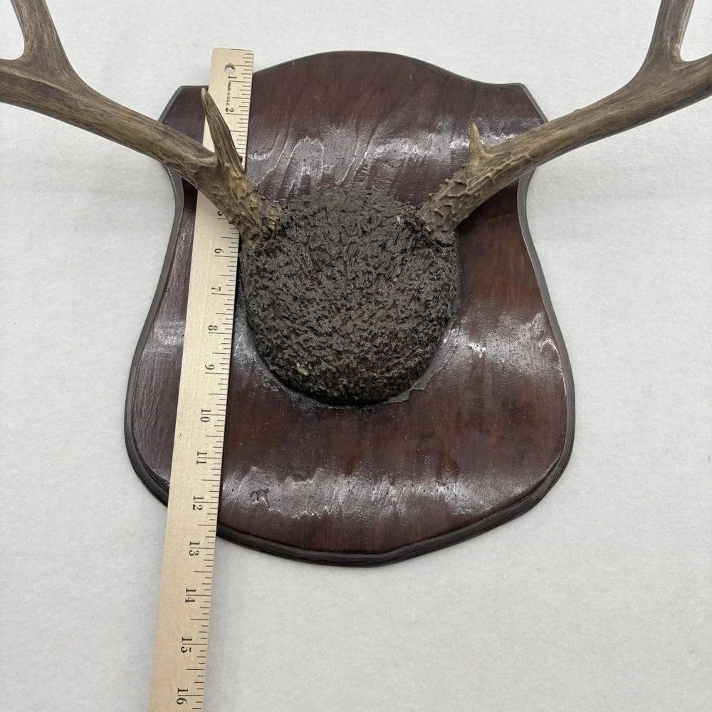 N/A rustic deer